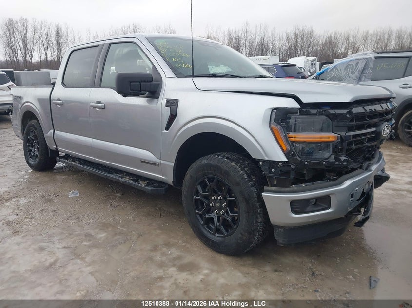 2024 FORD F150 XLT