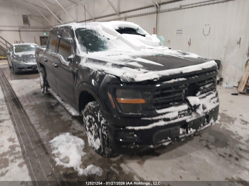 2024 FORD F150 XLT