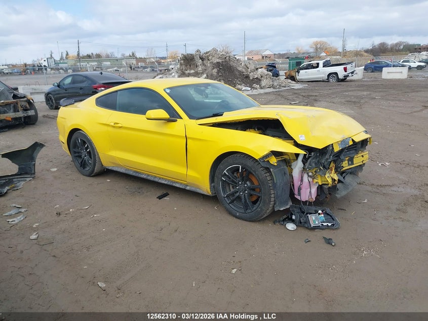 2017 FORD MUSTANG