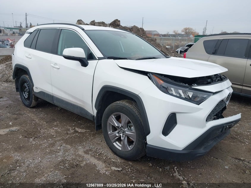 2025 TOYOTA RAV4 LE