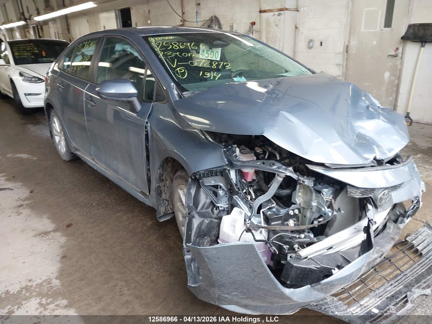 2023 TOYOTA COROLLA
