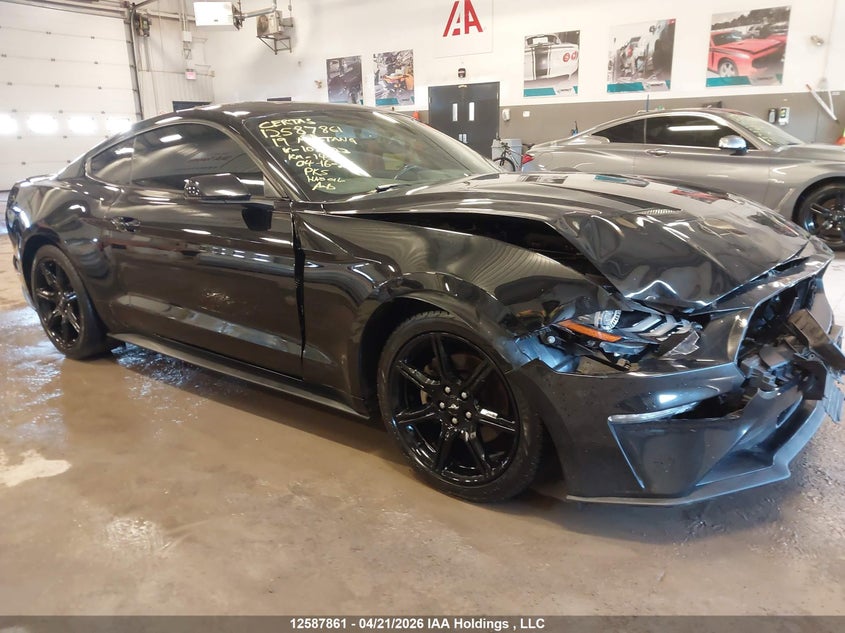 2019 FORD MUSTANG