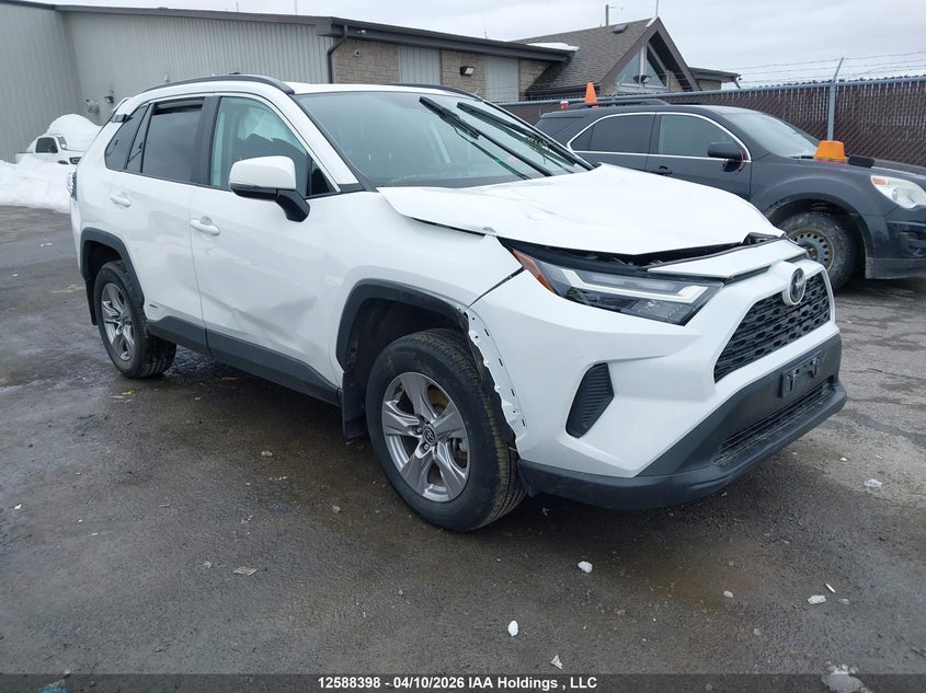 2025 TOYOTA RAV4 XLE/WOODLAND EDITION