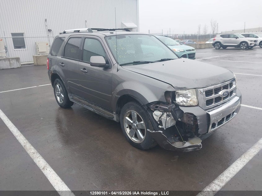 2010 FORD ESCAPE LIMITED