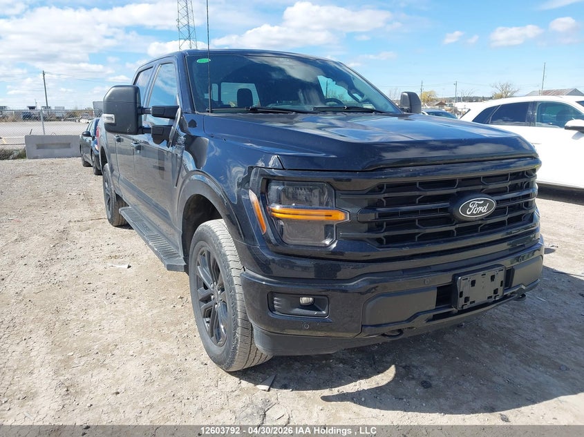 2024 FORD F150 XLT