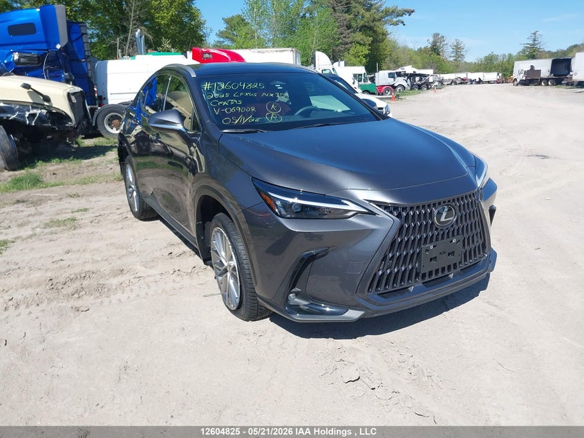 2025 LEXUS NX 350 PREMIUM