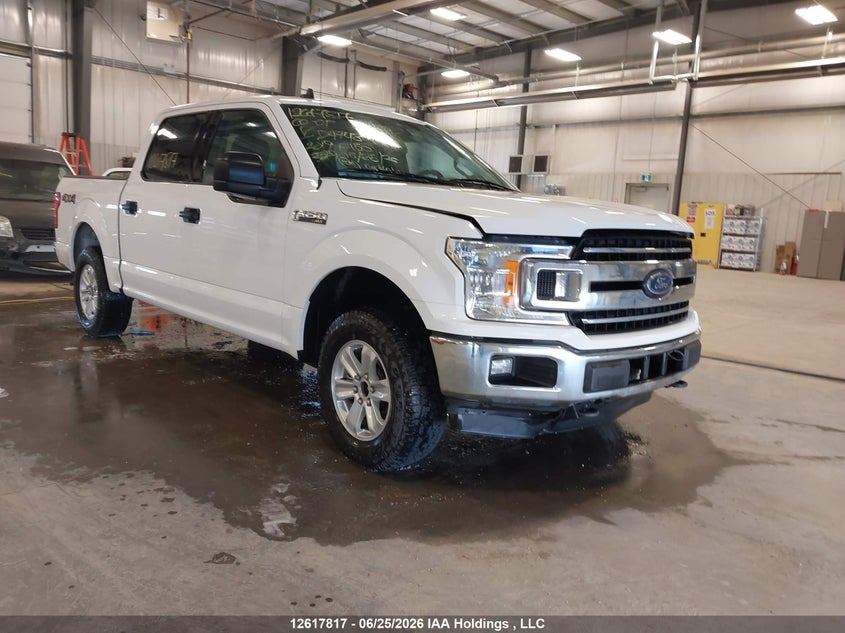 2019 FORD F-150 XLT