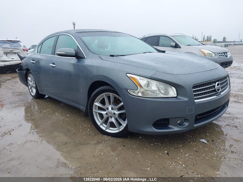 2010 NISSAN MAXIMA S/SV