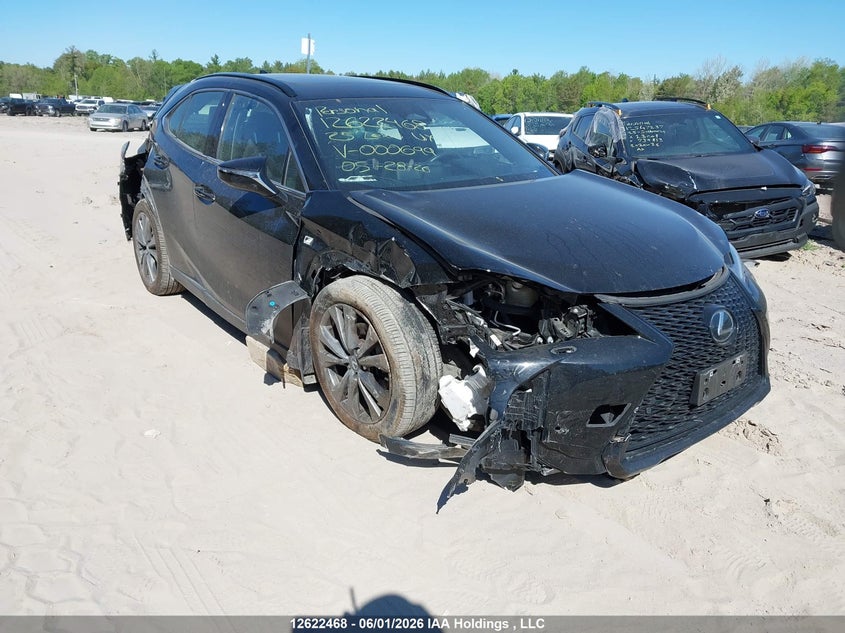 2025 LEXUS UX 300H