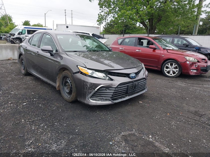 2023 TOYOTA CAMRY HYBRID XLE