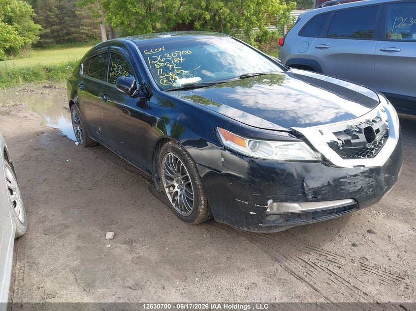 2011 ACURA TL
