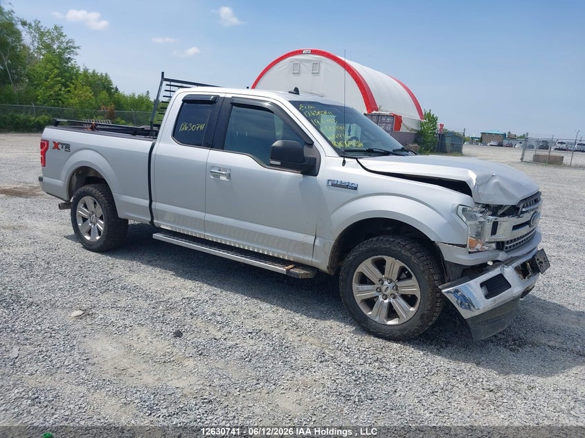 2019 FORD F-150 XLT