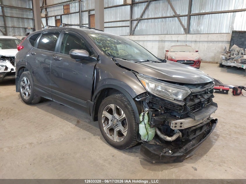 2019 HONDA CR-V