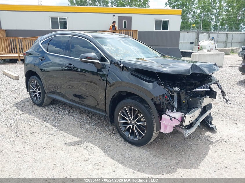 2023 LEXUS NX 250