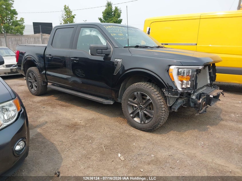 2023 FORD F-150 XLT