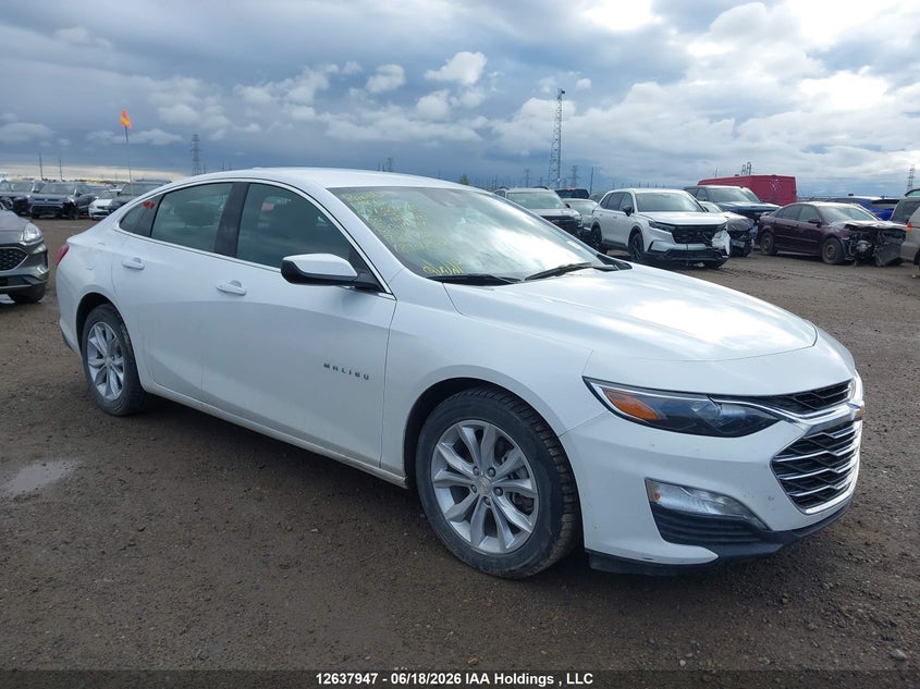 2023 CHEVROLET MALIBU LT