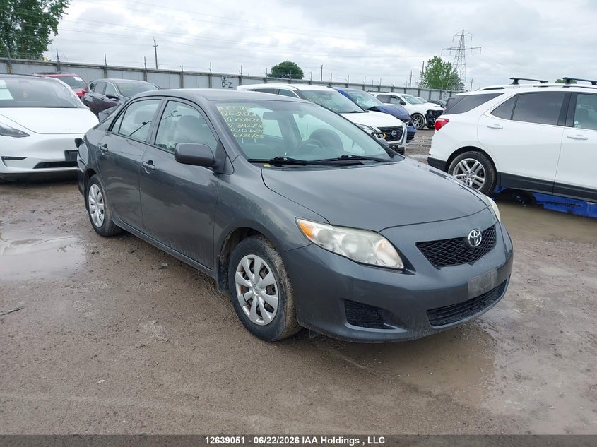 2010 TOYOTA COROLLA S/LE/XLE