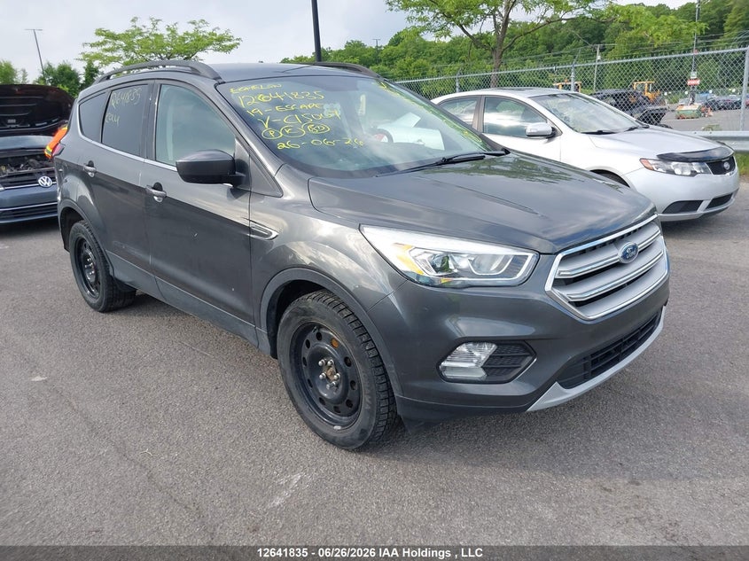 2019 FORD ESCAPE SEL