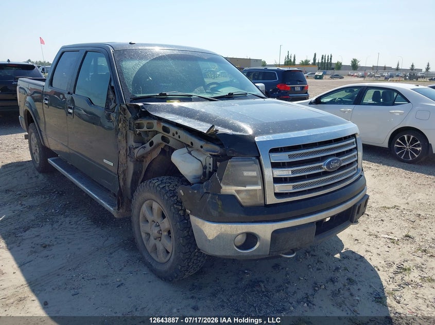 2014 FORD F-150 FX4/KING RANCH/LARIAT/LIMITED/PLATINUM/XLT