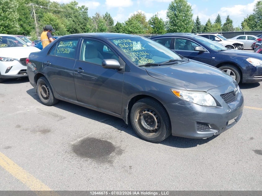 2010 TOYOTA COROLLA