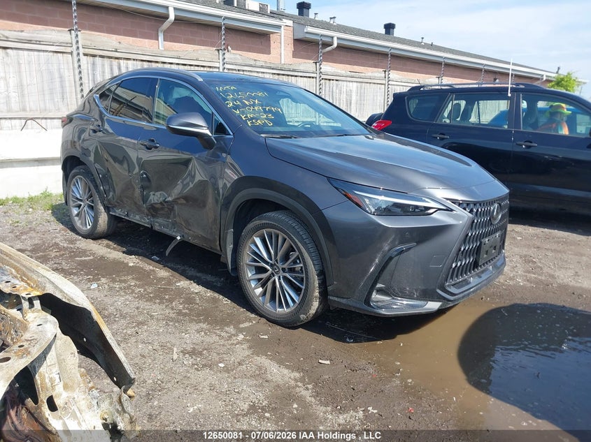 2024 LEXUS NX 350