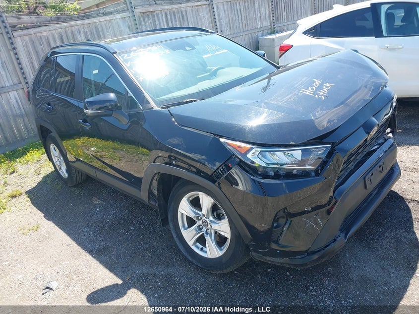 2019 TOYOTA RAV4 XLE
