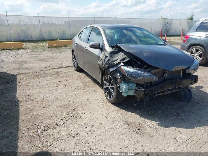 2019 TOYOTA COROLLA