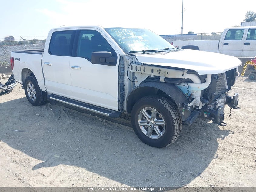 2025 FORD F150 XLT
