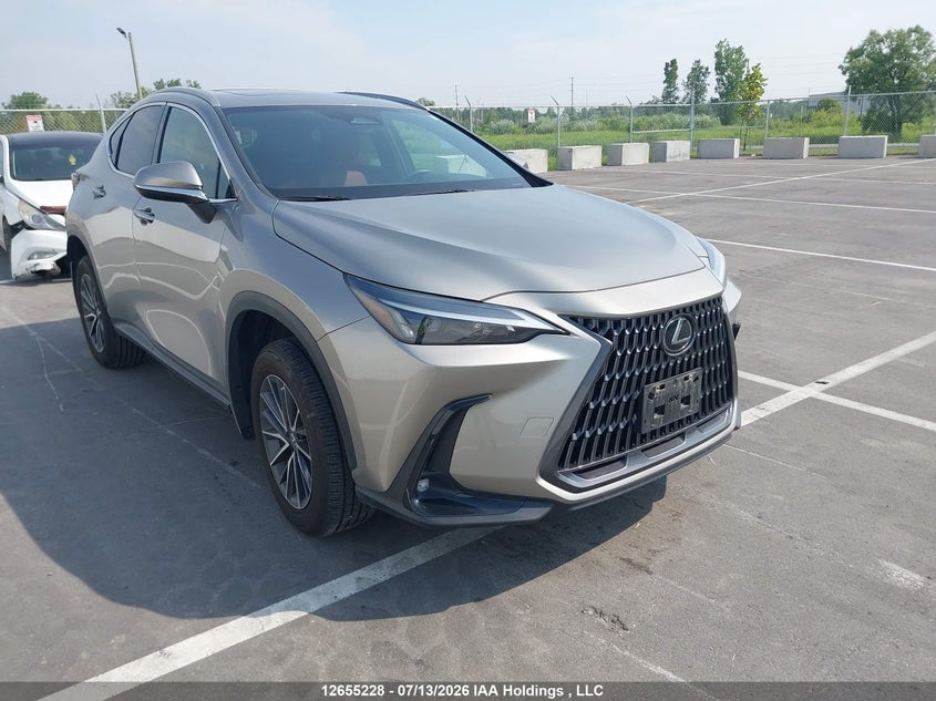2024 LEXUS NX 350