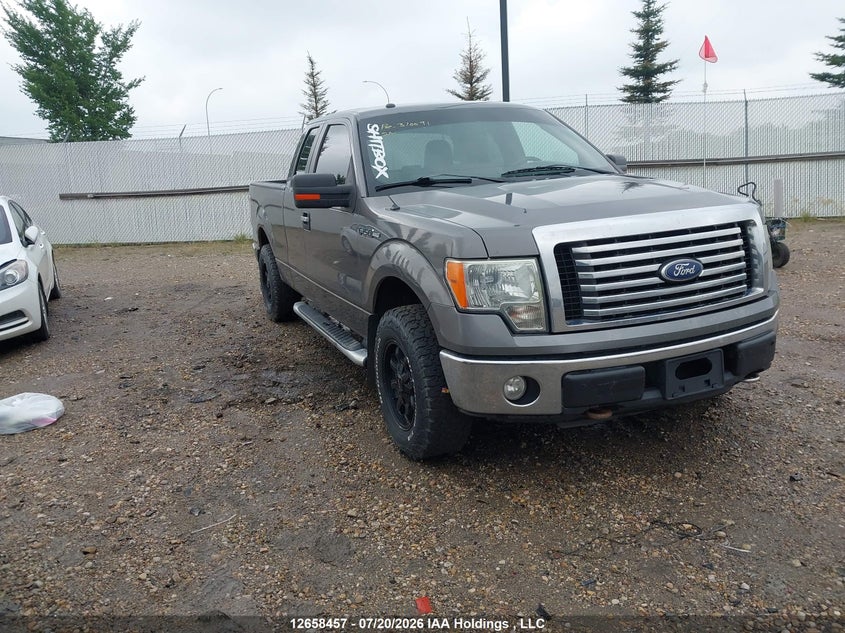 2010 FORD F-150 STX/XL/XLT
