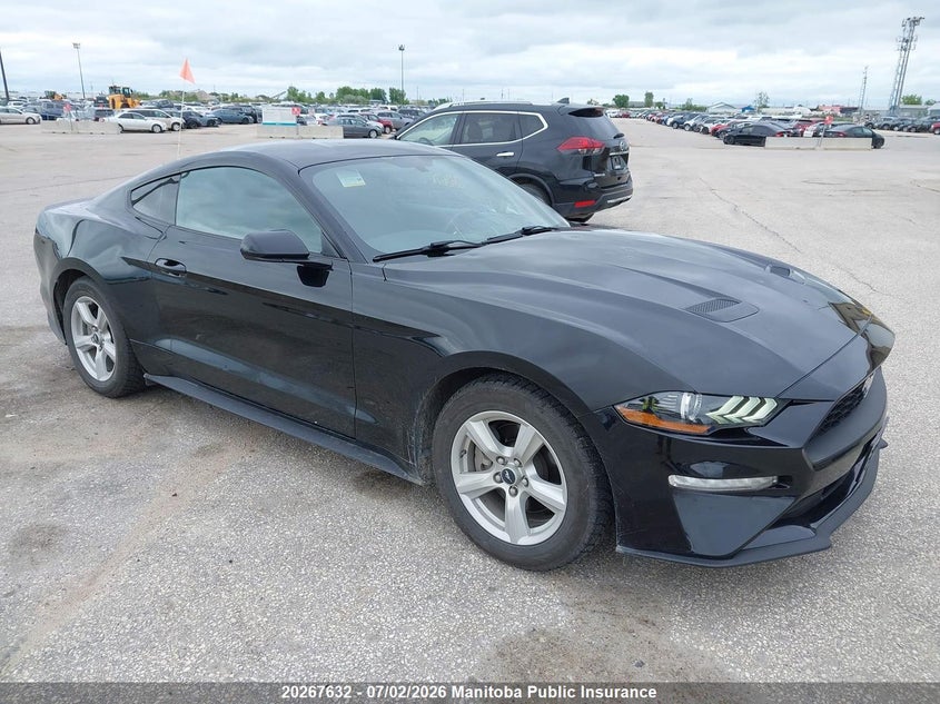 2019 FORD MUSTANG