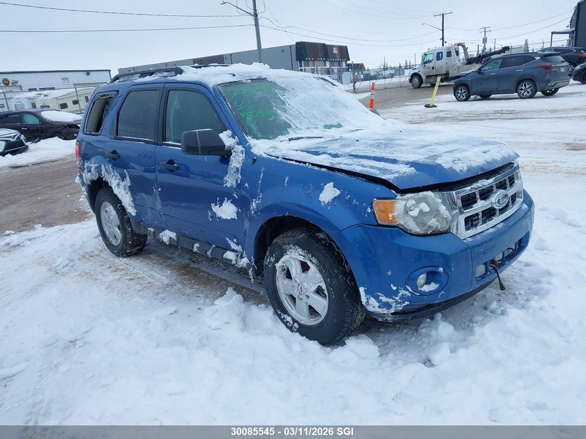 2009 FORD ESCAPE XLT