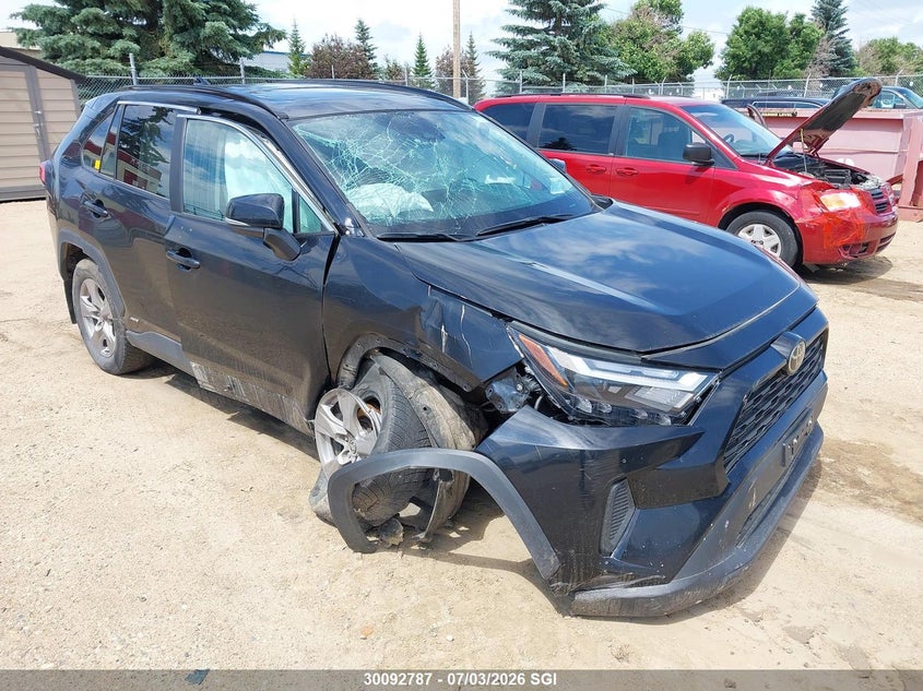 2025 TOYOTA RAV4 XLE/WOODLAND EDITION