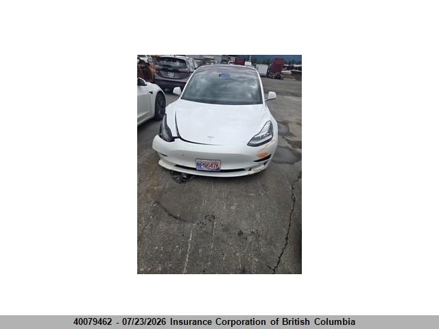 2019 TESLA MODEL 3