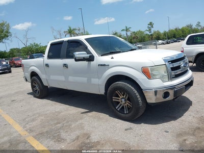 2013 FORD F-150 XLT