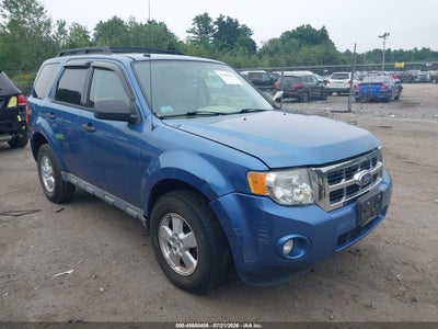 2010 FORD ESCAPE XLT