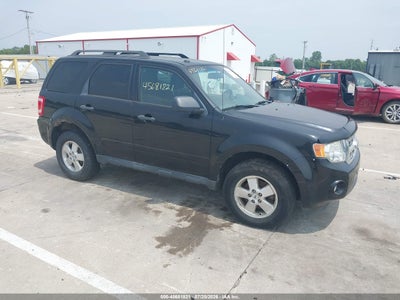 2011 FORD ESCAPE XLT